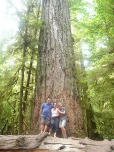 Cathedral grove